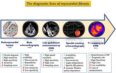 Novel Approaches in Cardiac Imaging for Non-invasive Assessment of Left Heart Myocardial Fibrosis